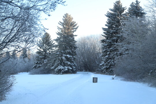 Saskatoon cold morning