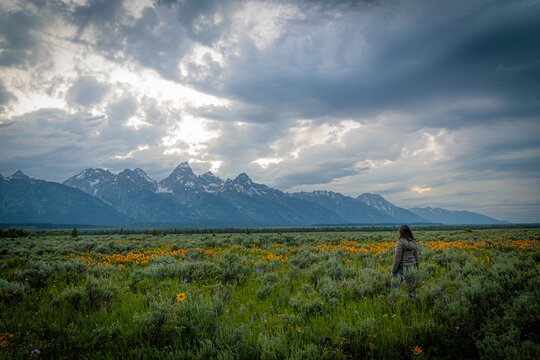 Woman admires the grand teton mountains from a field of wildflowers 