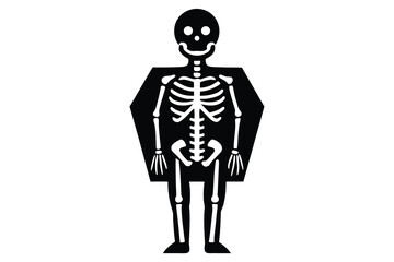 skeleton standing vector illustration 