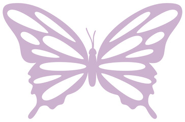 Butterfly | Butterfly Vector Art