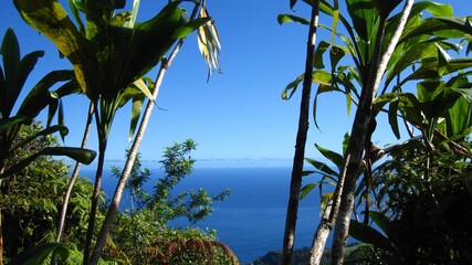 Blue skies at Maui, Hawaii