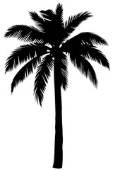 Minimal vector silhouette of a single palm tree, centered with no ground or soil. Isolated on transparent background, perfect for tropical, summer, and clean design projects.