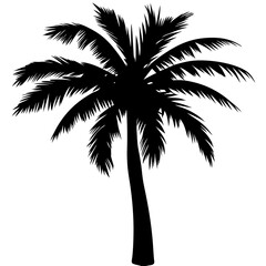 Minimal vector silhouette of a single palm tree, centered with no ground or soil. Isolated on transparent background, perfect for tropical, summer, and clean design projects.
