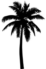 Minimal vector silhouette of a single palm tree, centered with no ground or soil. Isolated on transparent background, perfect for tropical, summer, and clean design projects.