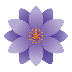 Serene Purple Petal Flower Peaceful Botanical Illustration