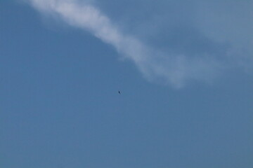 flying in the sky