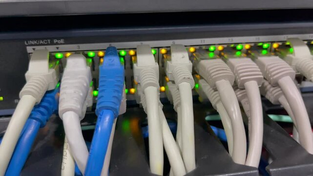 network hub and patch panel cables