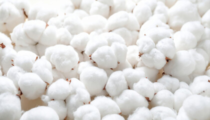 Close-Up of Fresh, Soft Cotton Bolls Textures on a Light Background