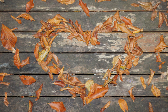 autumn leaves in the shape of a heart