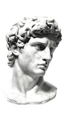 Close-up bust of a classical male figure
