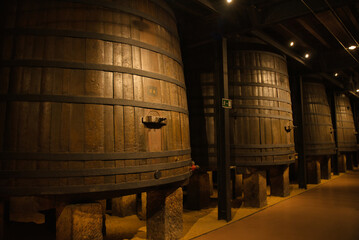 Wine cellar wooden wine barrels