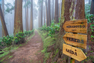 Arrow indicating the path, viewpoint and exit in the Fontinhas forest park with dense vegetation on...