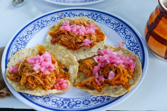 Cochinita Pibil Tacos on Blue-Patterned Plate

