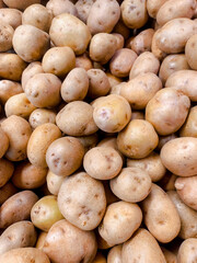 A pile of fresh potatoes stacked neatly, perfect for any dish from fries to stew