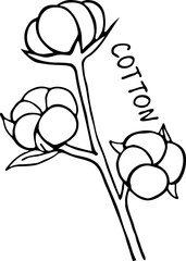 Cotton branch. Agriculture logo. Linear vector illustration