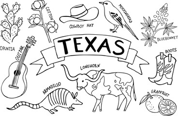 Texas symbols. Animals, plants and objects. Vector illustration set. Line art
