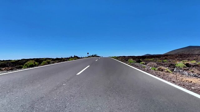 A stunning view of a winding road surrounded by lush nature and vibrant vegetation, showcasing outdoor beauty