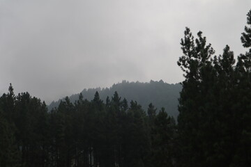 fog in the mountains