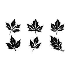 Leaf icon
