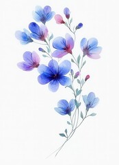 Obraz premium delicate watercolor painting of a flower branch with blue and purple petals and slender green stems on a white background