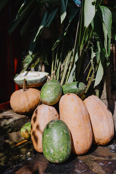 Winter Melons and Pumpkins Outdoors