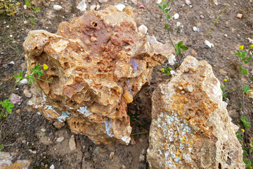 Field photo of chert rocks covered with sintered kidney-shaped chalcedony, rockhounding in central...