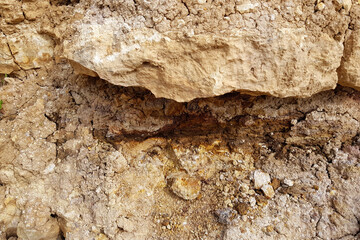 Limestone and clay composing layers of sedimentary rocks exposed at a quarry