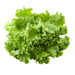 Healthy fresh green leaf lettuce vegetables white background AI Generated image.