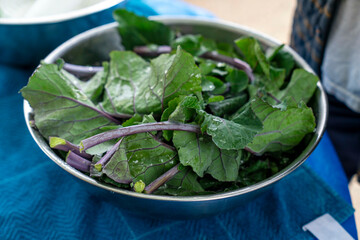 bowl leafy greens 