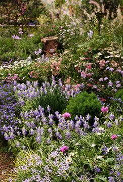 Closeup of beautiful plant combinations