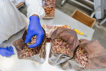 Close up of worker’s hand placing dry pistachios in bags from above