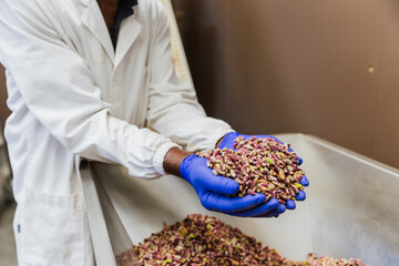 Close up of worker hands holding dry pistachios ready for packaging with copy space
