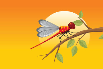 Dragonfly on Branch Vector Illustration. Colorful vector of a red dragonfly resting on a branch with sunset background.