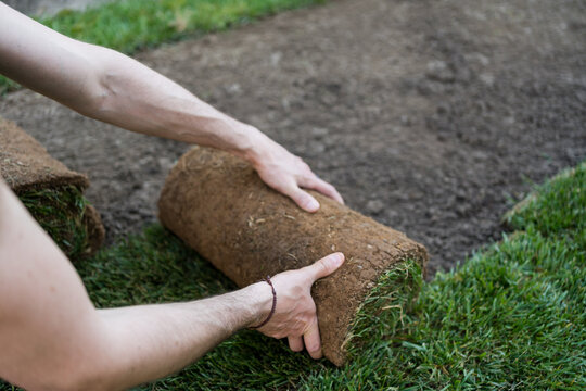 A man working in the garden