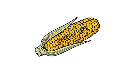 Grilled corn illustration – clean vector with hand-drawn feel, flat color style, simple smooth lines, isolated on transparent background