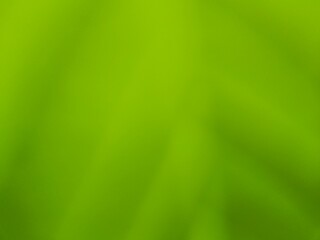 Fresh green gradient background with soft blur and natural feel. Perfect for eco themes, wellness, digital design, nature concepts, or organic branding visuals.