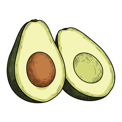 Hand-drawn vector illustration of halved avocado – clean and colorful sketch, isolated on transparent background