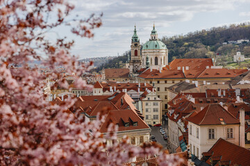 City view with red rooftops and blooming cherry blossoms