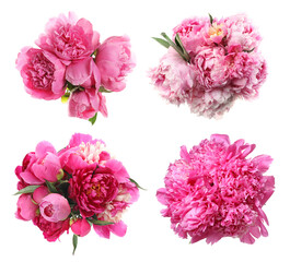 Beautiful bouquets with peony flowers on white background, collage. Top view