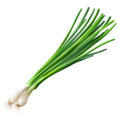 Fresh green onion isolated on white background