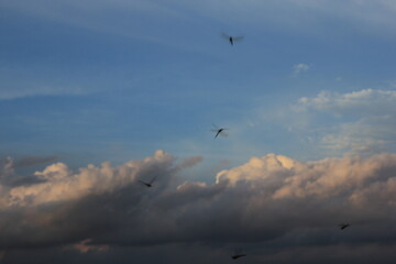 blue sky and white cloud