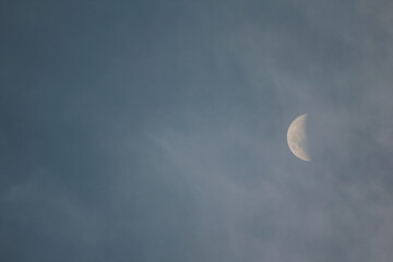 close up photo of half moon