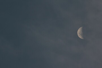 close up photo of half moon