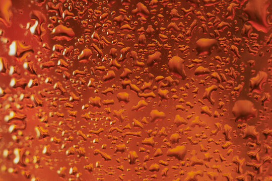 Clsoeup of Beer Glass 