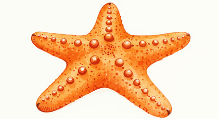 Detailed Watercolor Painting of an Orange Starfish