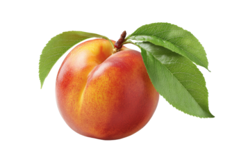 A peach with a leaf on top