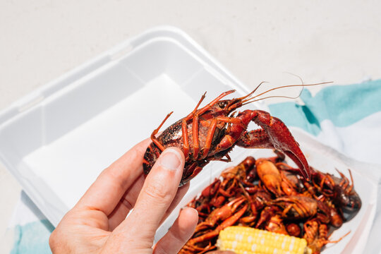 Gulf Coast Crawfish Boil Meal 