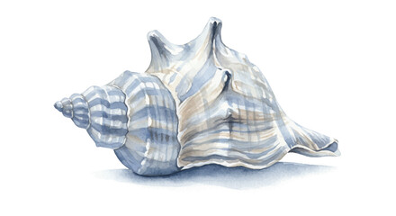 Watercolor Conch Shell Illustration with Delicate Blue and Beige Tones