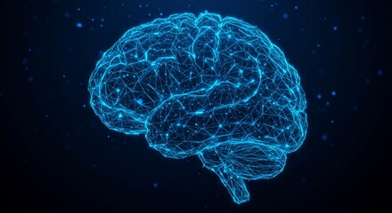 Human Brain Neural Network, Cognitive Functions, and Neuroscience