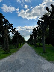 country road in the cemetery 